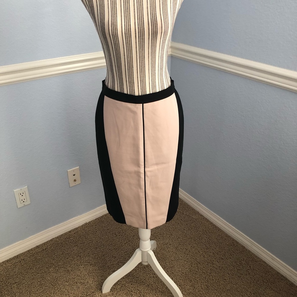 Ann Taylor two shade skirt sz 4